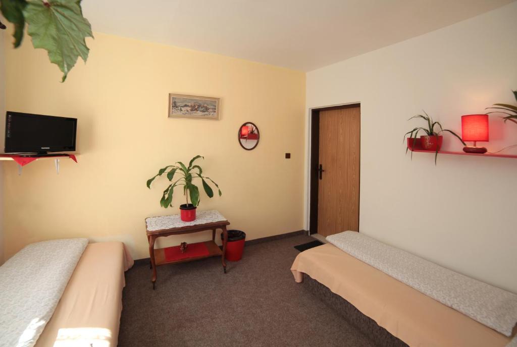 Pension U Kastanu Karlovy Vary Camera foto